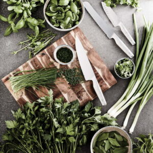 VINGA Hattasan šefo peilis iš japoniško plieno