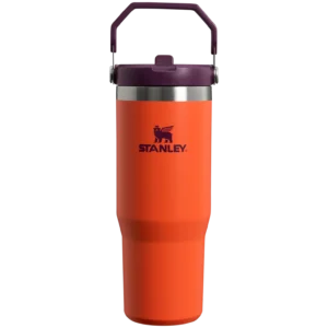 STANLEY termo puodelis The IceFlow™ 0.89L – Tigro slyva